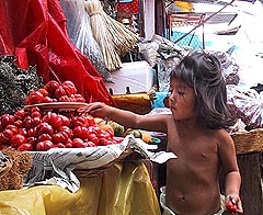 Vendors